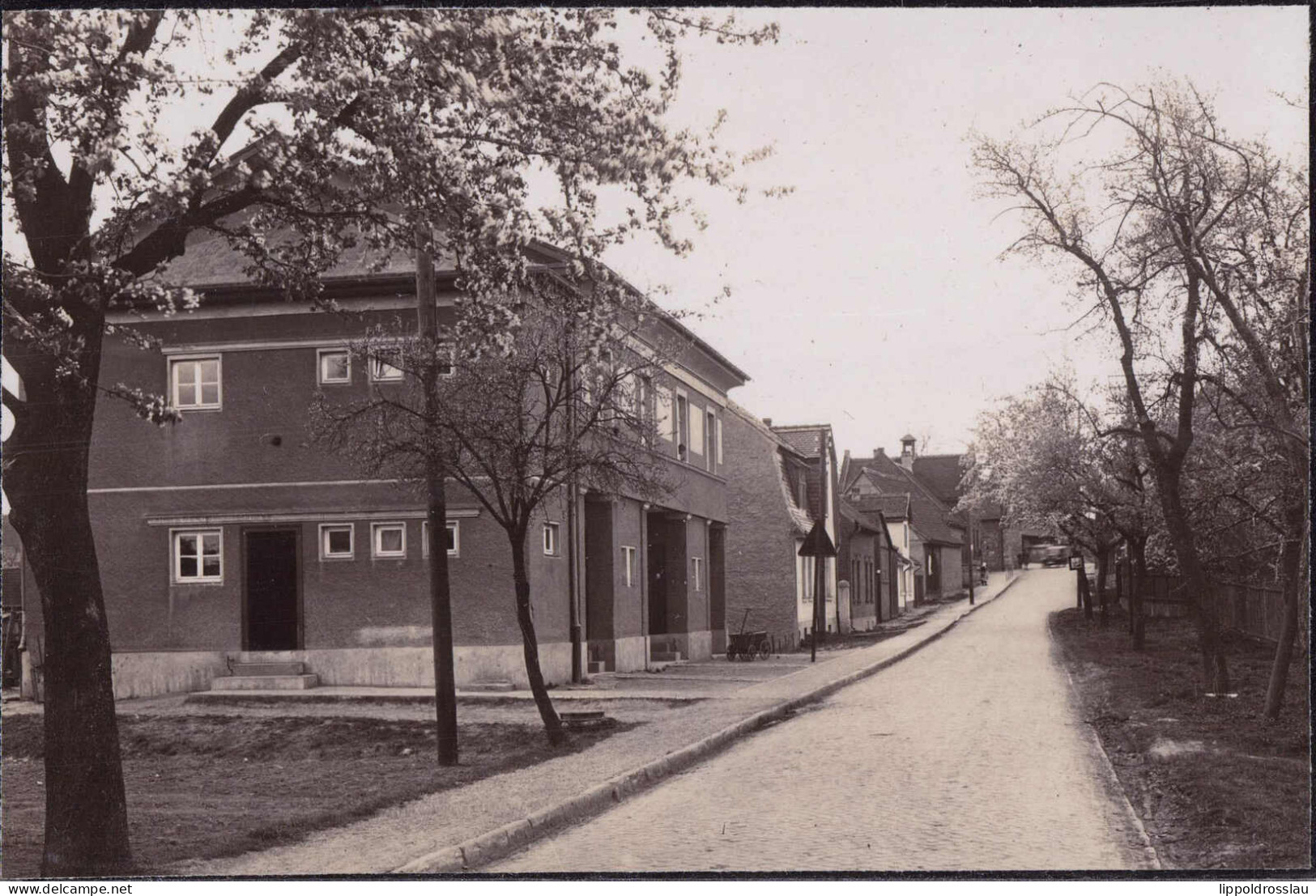 * O-5321 Nauendorf Straßenpartie, Foto 15,5x10,5 Cm - Apolda