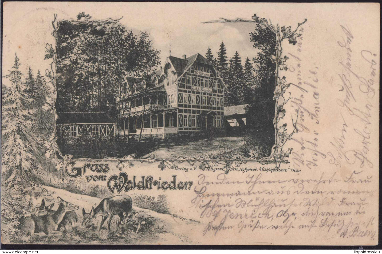 Gest. O-5700 Mühlhausen Gasthaus Hotel Waldfrieden 1902 - Muehlhausen