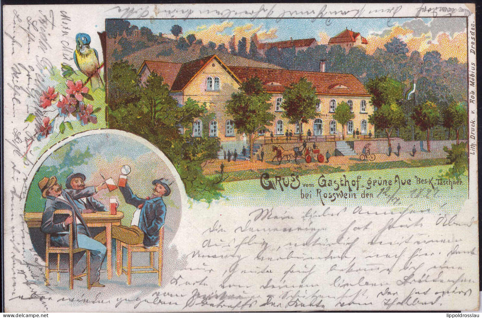 Gest. O-7304 Roßwein Gasthaus Grüne Aue 1897 - Doebeln