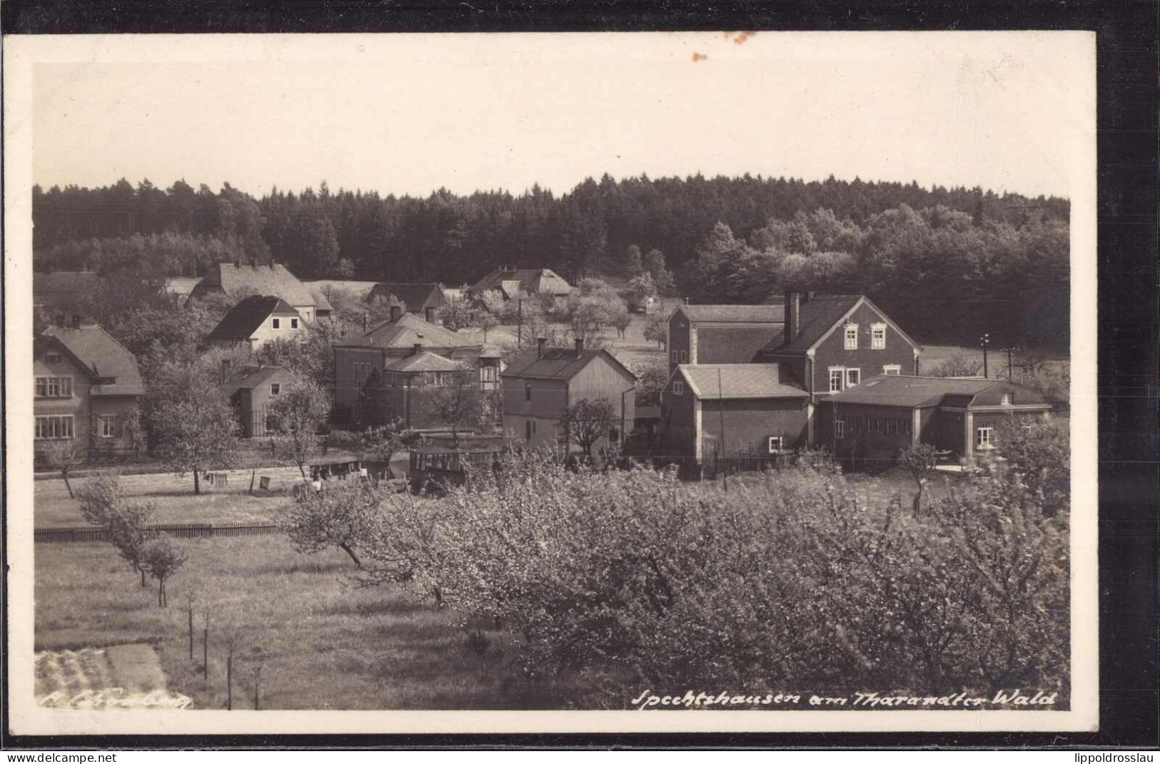 * O-8211 Spechtshausen Blick Zum Ort 1942 - Freital