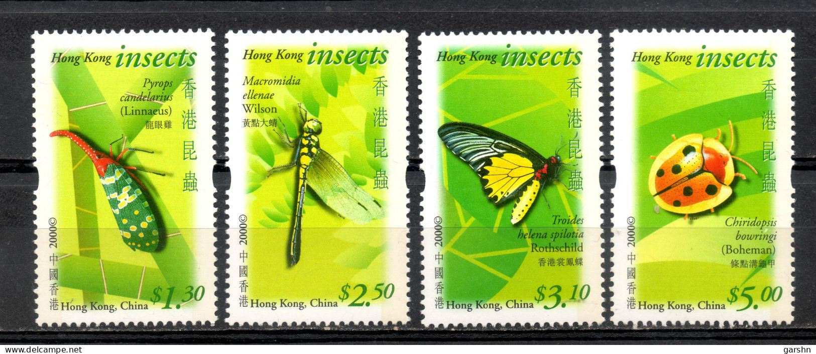 China Chine : (28) 2000 Hong Kong - Insectes SG1023/6** - Nuevos