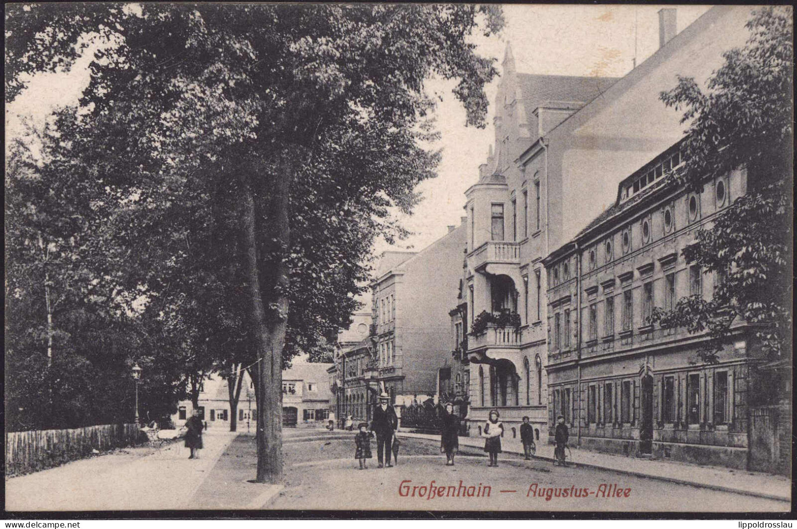 Gest. O-8280 Großenhain Augustus-Allee, Feldpost 1915 - Grossenhain