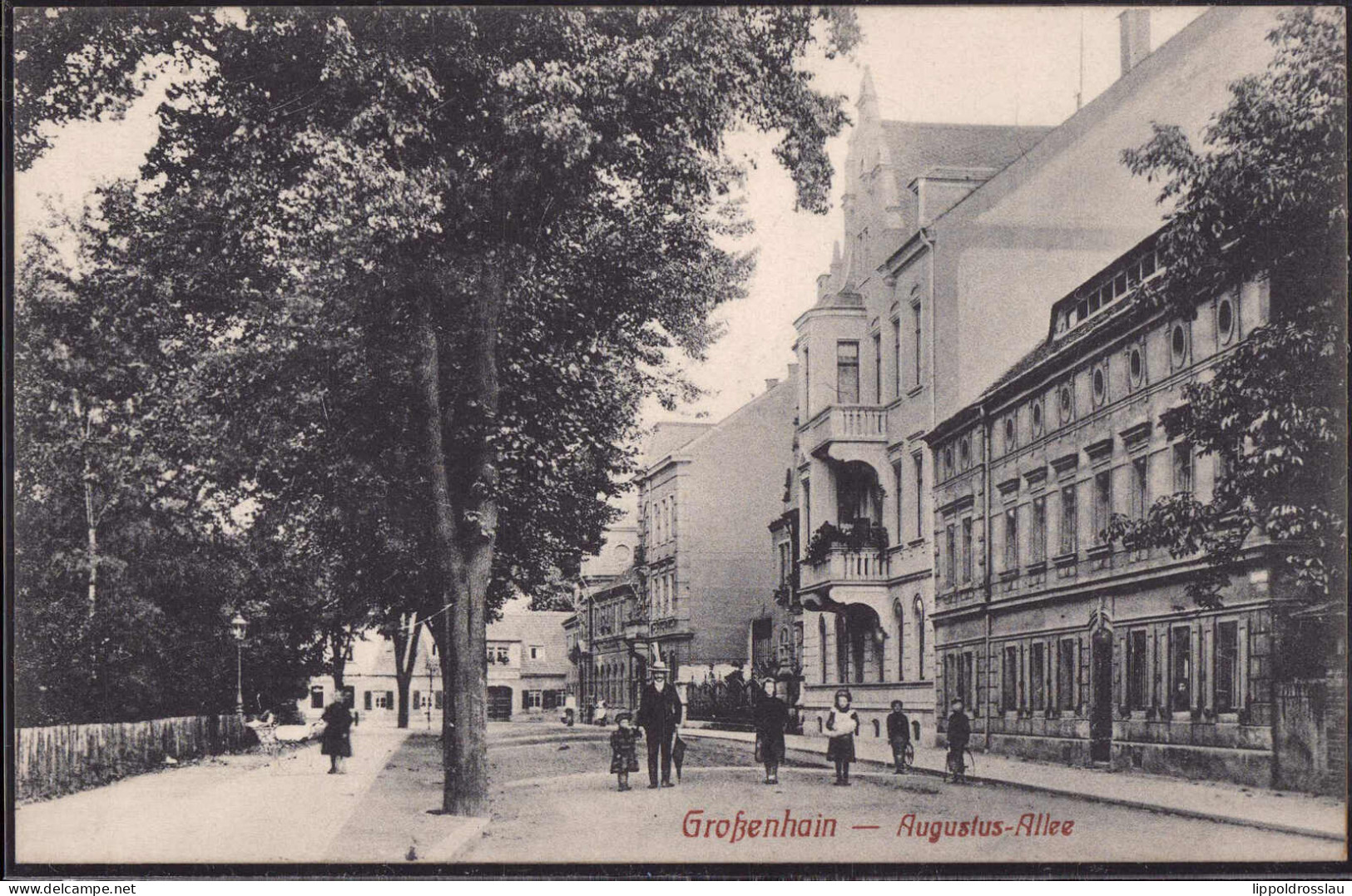 Gest. O-8280 Großenhain Augustus-Allee, Feldpost 1916 - Grossenhain