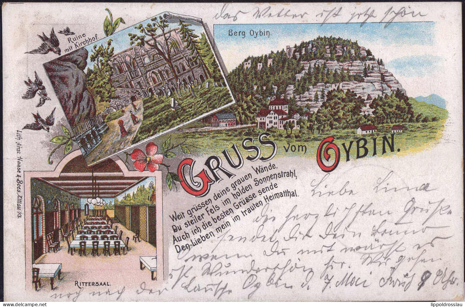 Gest. O-8806 Oybin Burg Rittersaal 1899 - Zittau