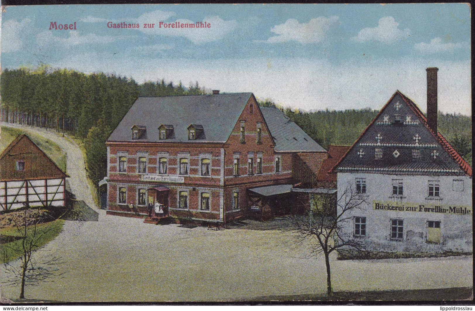 Gest. O-9515 Mosel Gasthaus Zur Forellenmühle 1912 - Zwickau