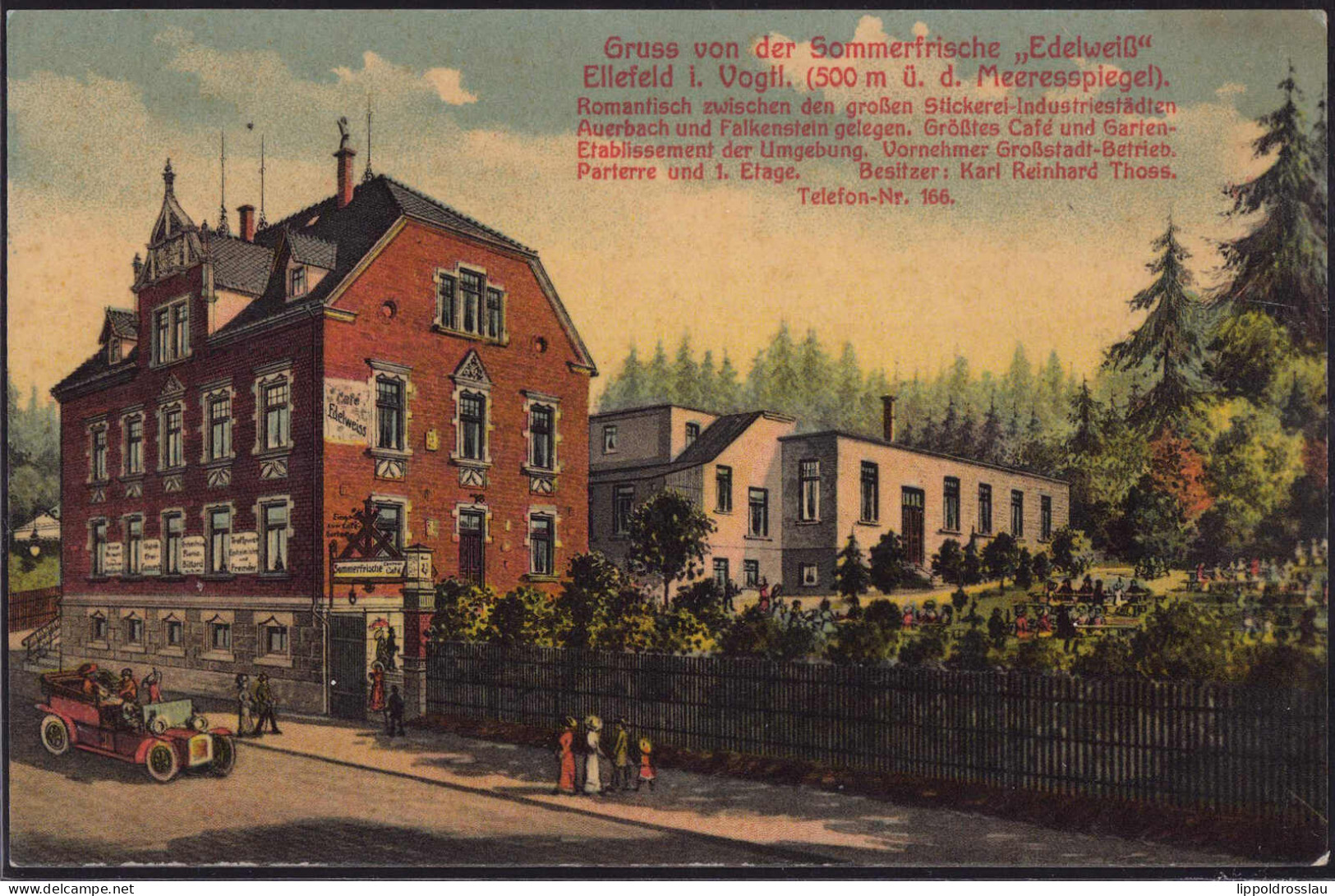 O-9703 Ellefeld Gasthaus Edelweiss - Auerbach (Vogtland)