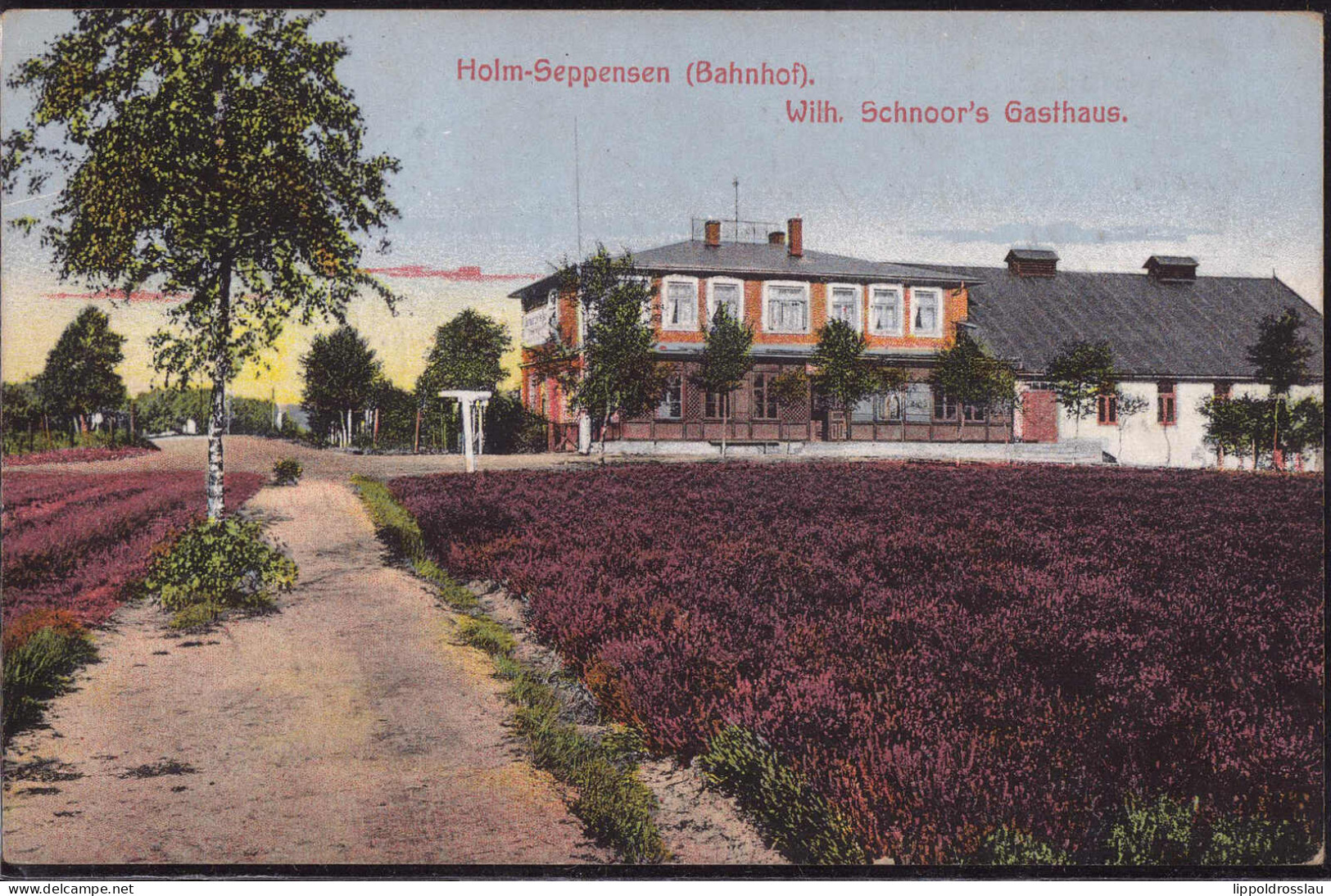 Gest. W-2110 Holm-Seppensen Bahnhof Schnoors Gasthaus 1915 - Buchholz