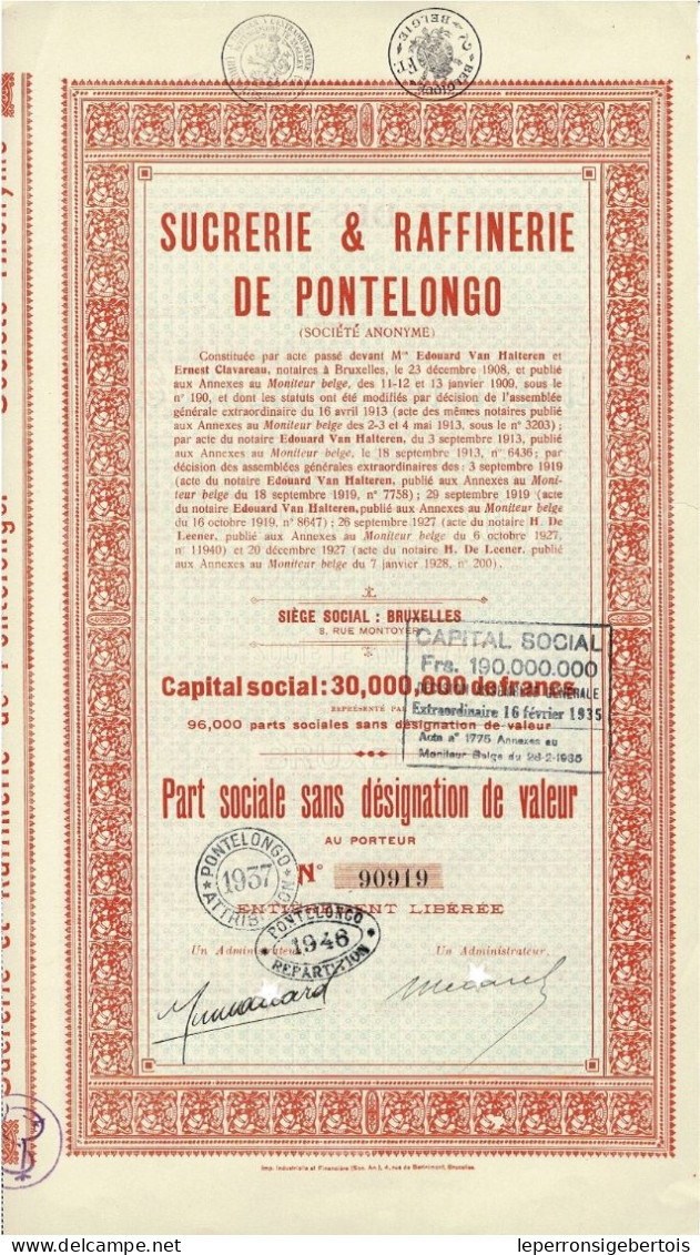 - Titre De 1928 - Sucrerie Et Raffinerie De Pontelongo - - Industrie