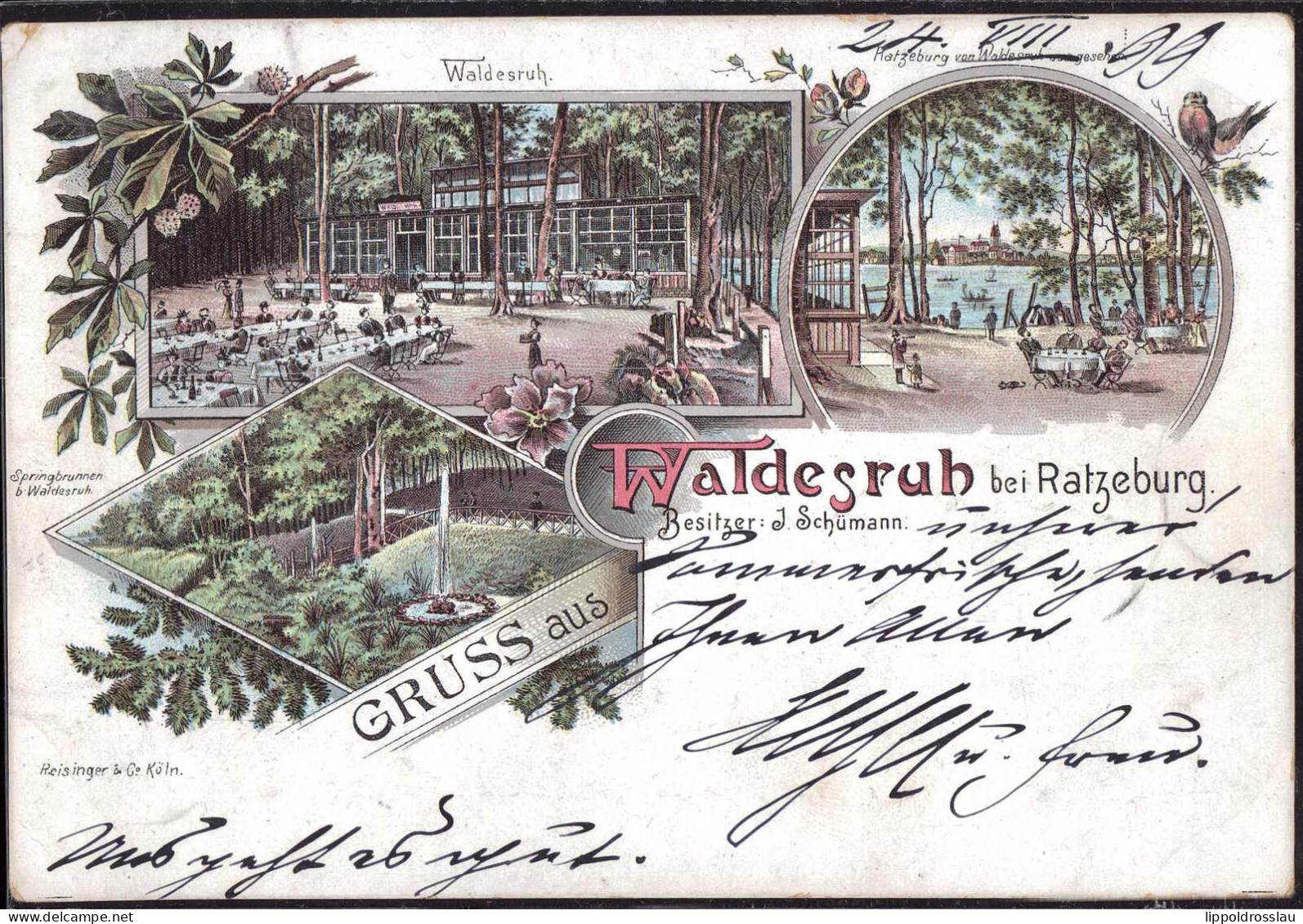 Gest. W-2418 Ratzeburg Gasthaus Waldesruh 1899, EK 3mm - Moelln