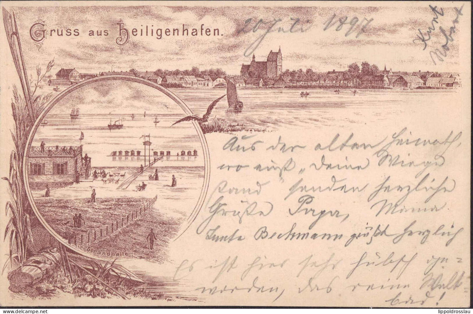 Gest. W-2447 Heiligenhafen Blick Zum Ort 1897 - Oldenburg (Holstein)