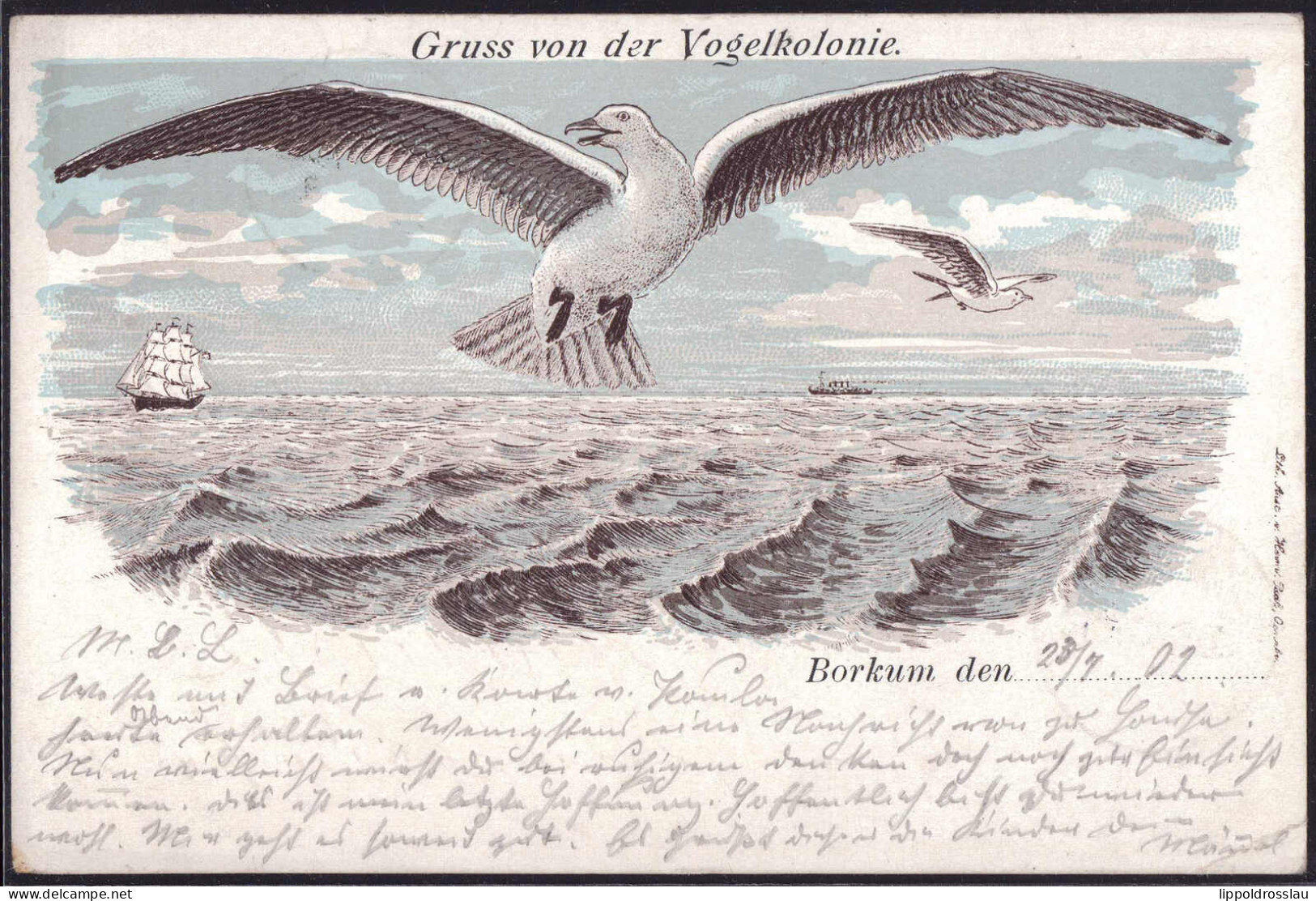 Gest. W-2972 Borkum Gruss Von Der Vogelkolonie 1902, EK 1,2cm - Emden