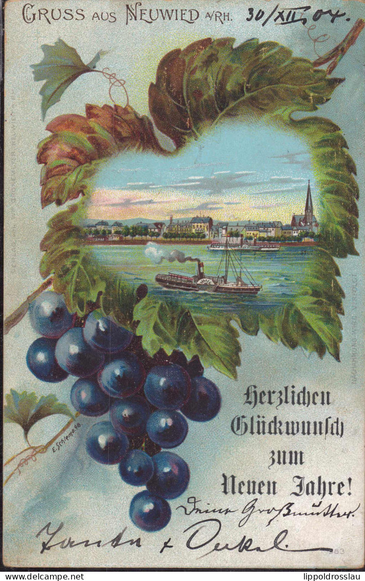 Gest. W-5450 Neuwied Neujahr Weintraube 1904 - Neuwied