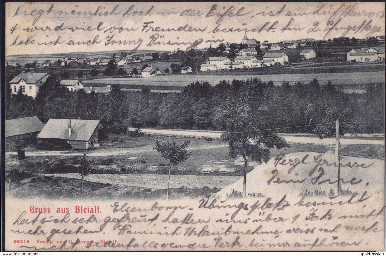Gest. W-5542 Bleialf Blick Zum Ort 1906 - Pruem