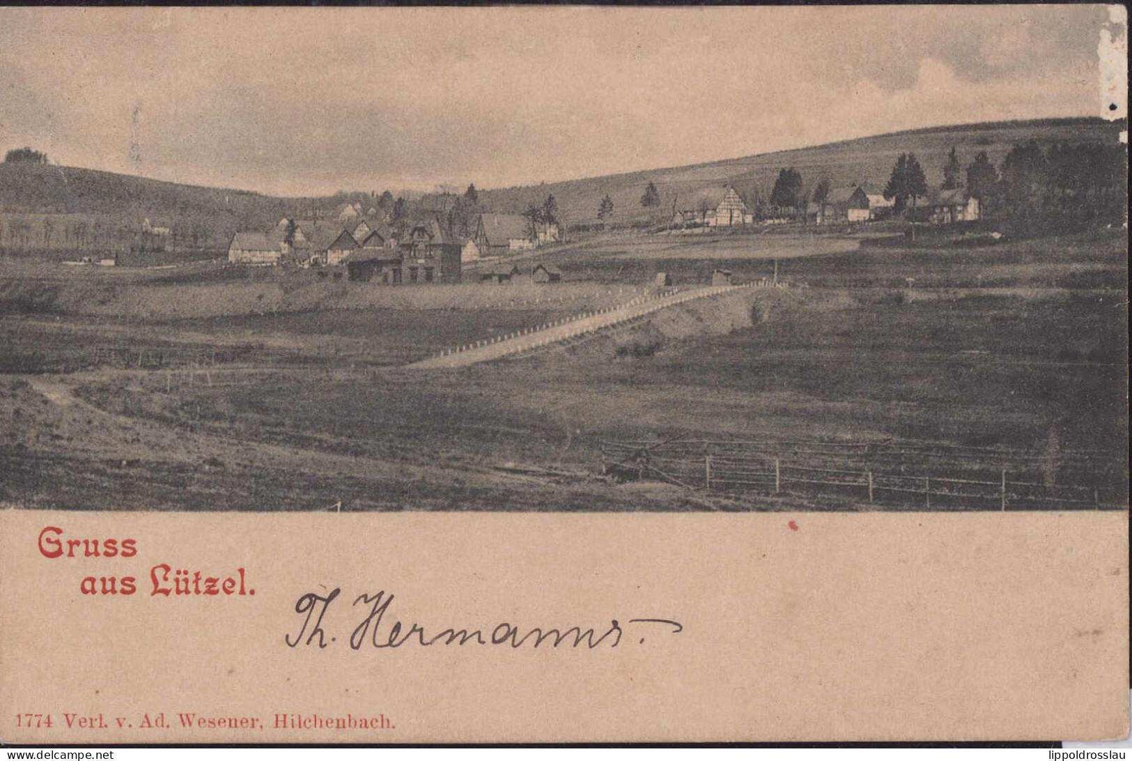 Gest. W-5912 Lützel Blick Zum Ort 1899, Mottenfraß Oben Rechts - Kreuztal