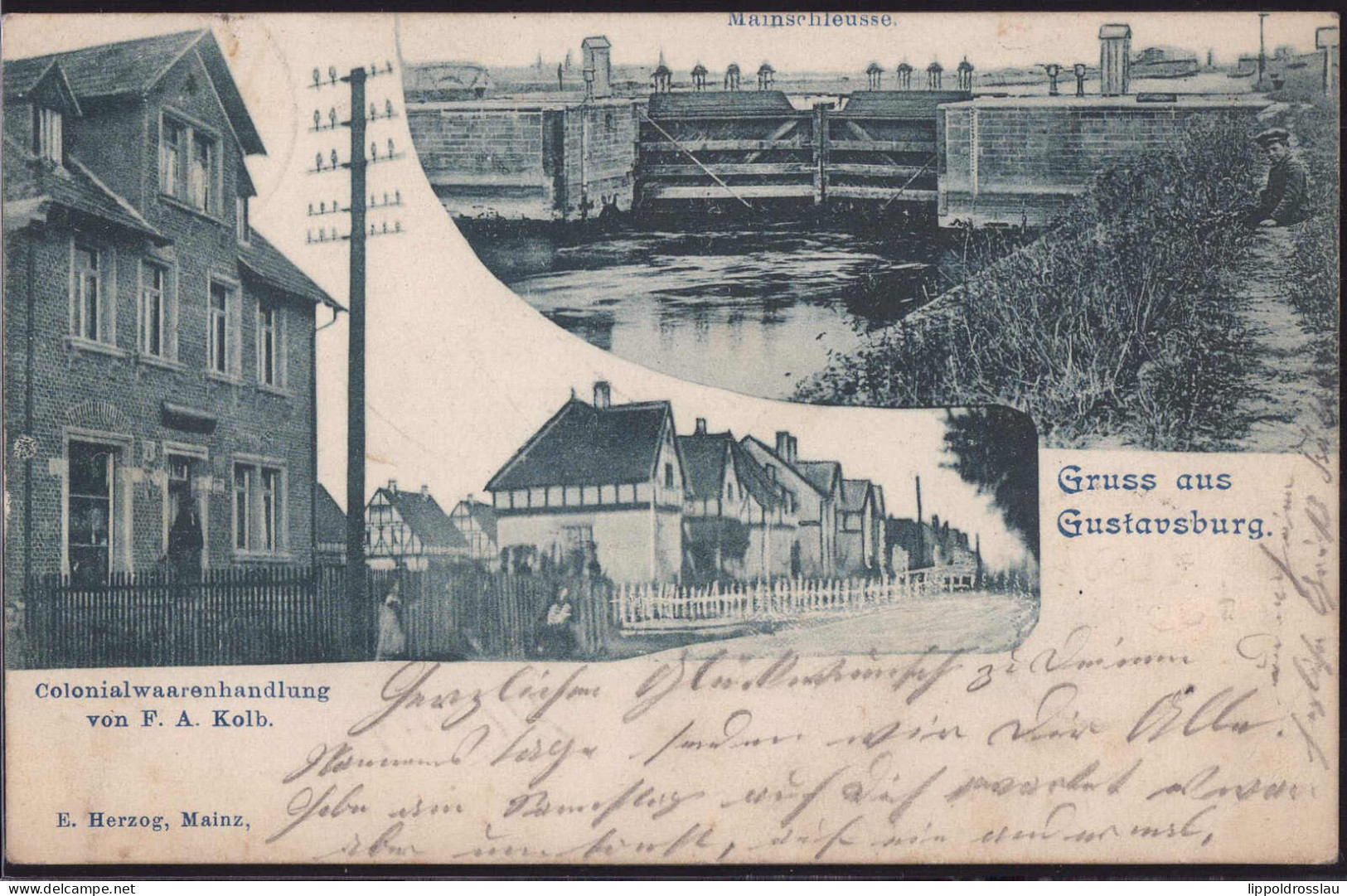 Gest. W-6095 Gustavsburg Colonialwarenhandlung Kolb 1903, Bug 3cm - Rüsselsheim