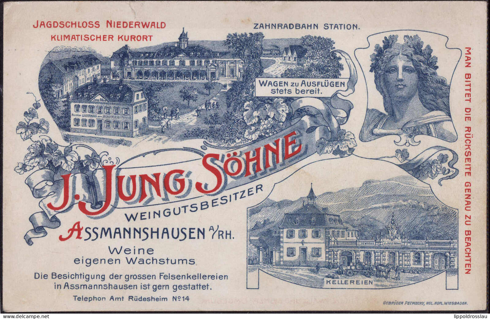 * W-6220 Assmannshausen Kellerei Jung Und Söhne, Reklamekarte Keine AK - Ruedesheim A. Rh.