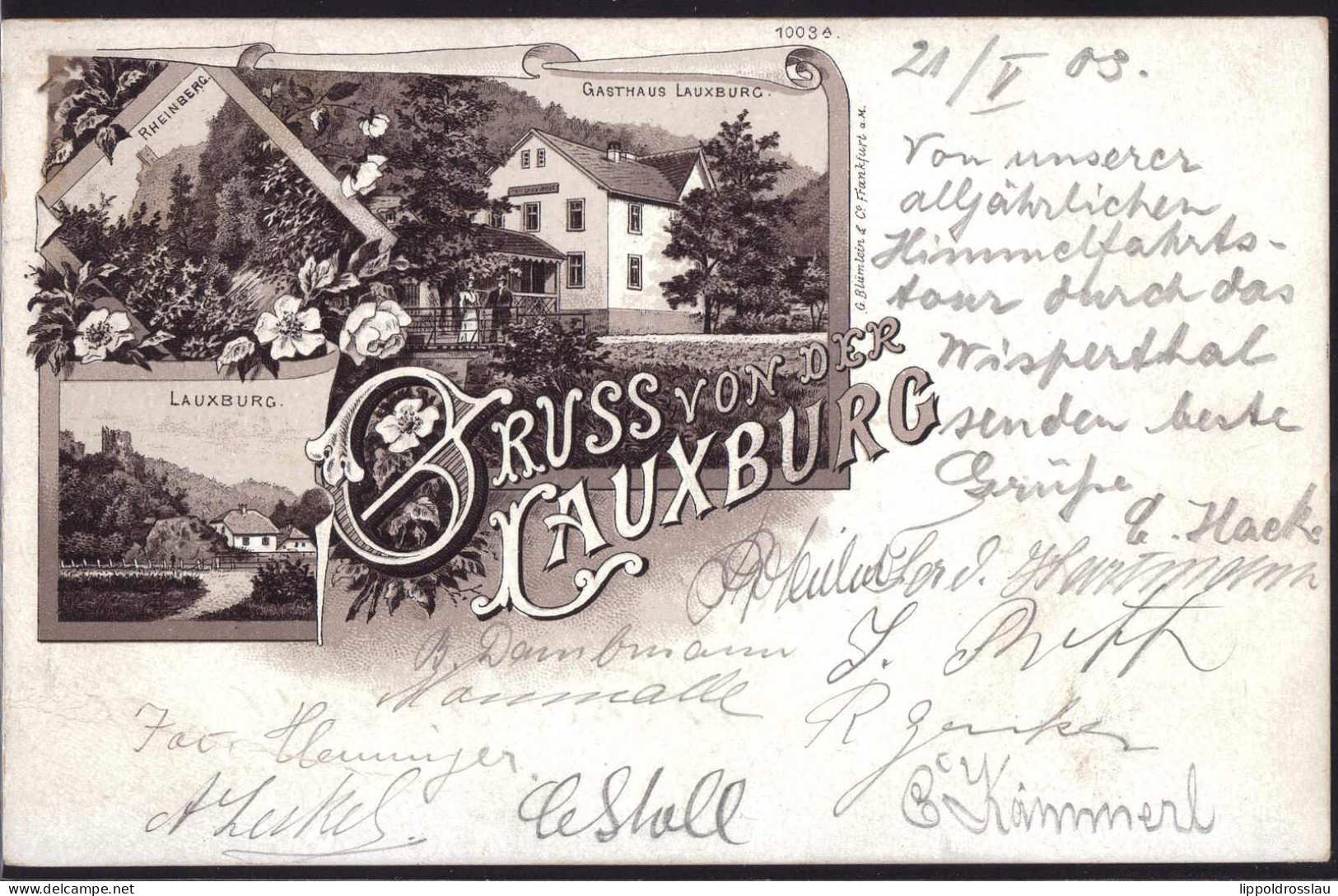 Gest. W-6223 Lorch Gasthaus Lauxburg 1903 - Ruedesheim A. Rh.