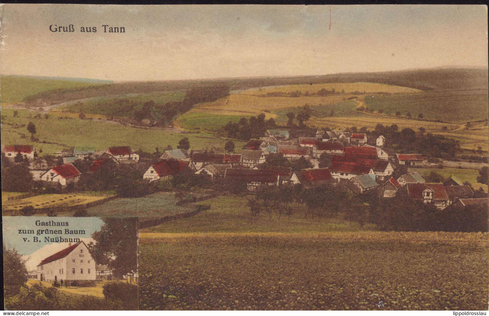 Gest. W-6438 Tann Gasthaus Zum Grünen Baum 1925 - Bad Hersfeld