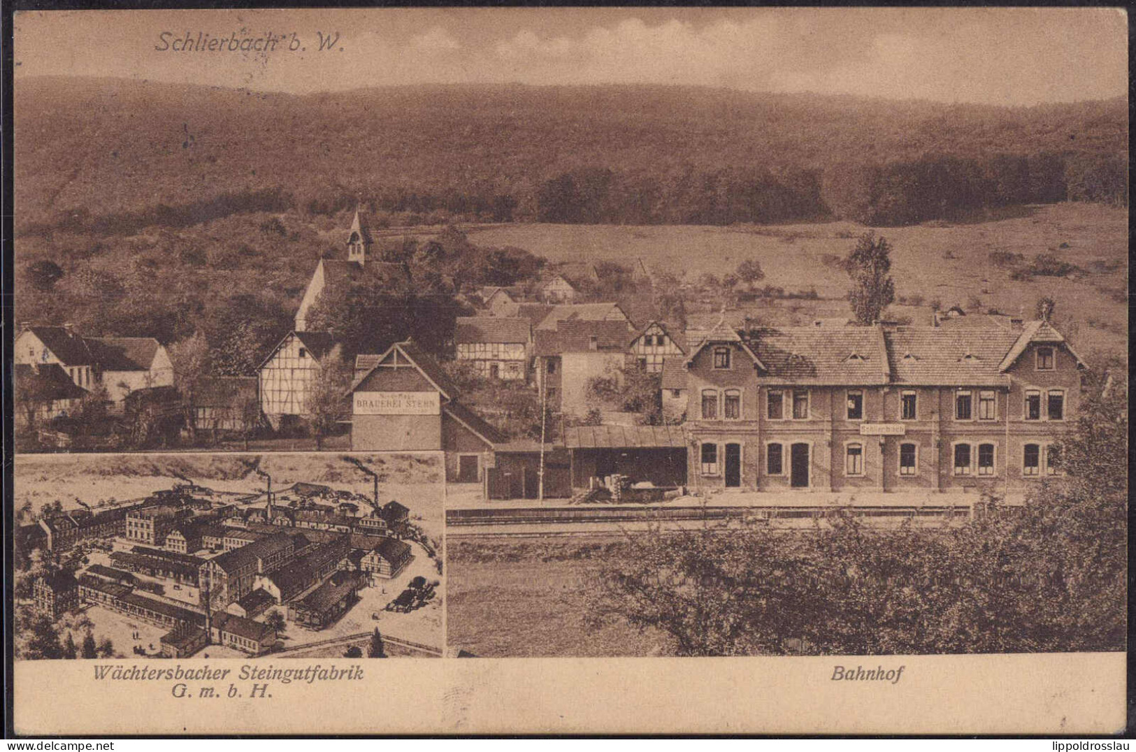 Gest. W-6486 Schlierbach Bahnhof Wächtersbacher Steingutfabrik 1913 - Bad Orb