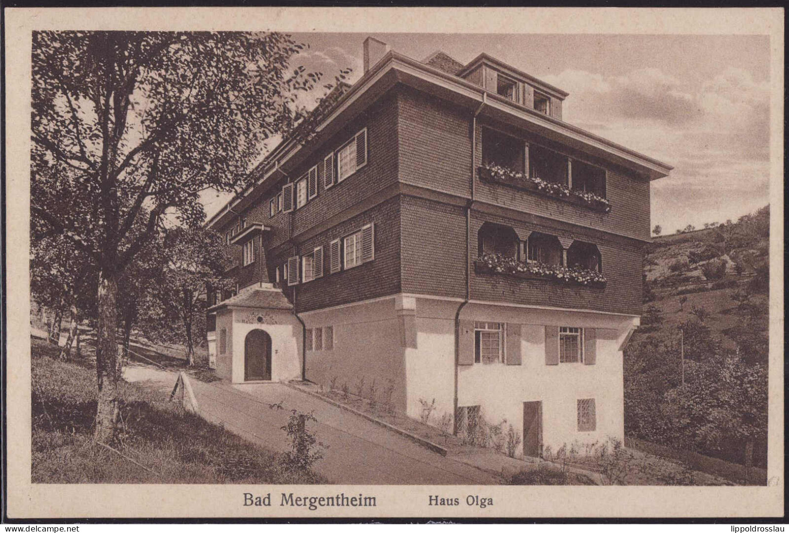 * W-6990 Bad Mergentheim Haus Olga - Bad Mergentheim