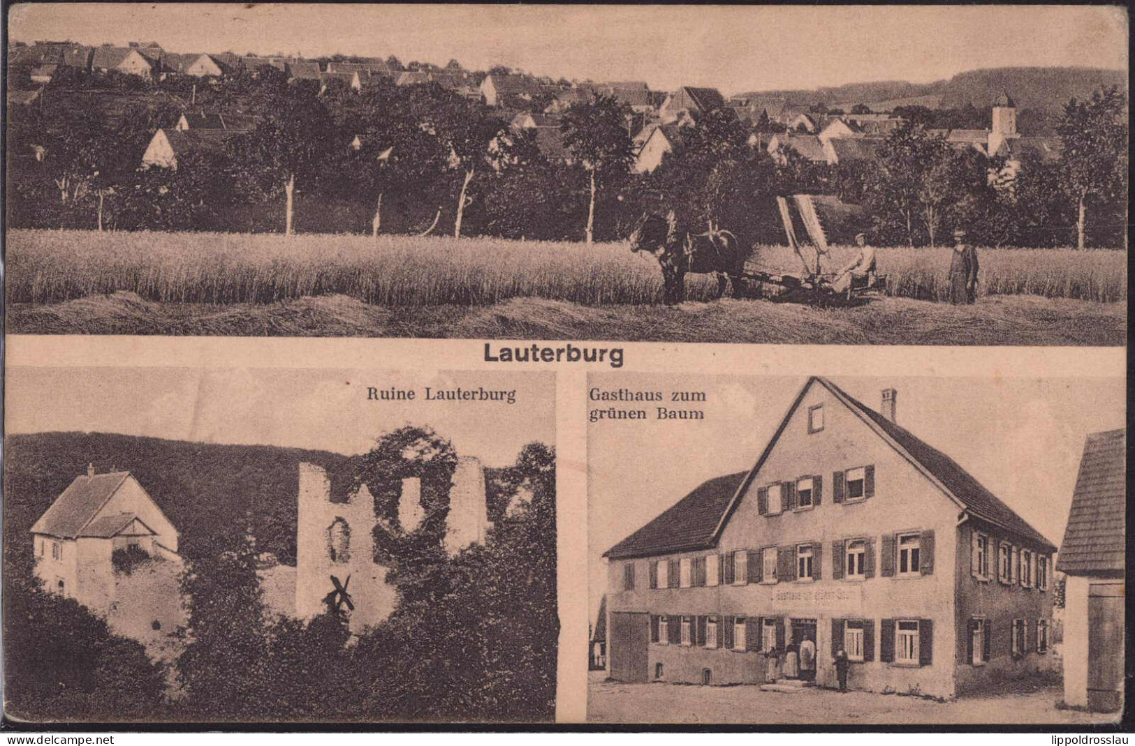 * W-7071 Lauterburg Gasthaus Zum Grünben Baum 1925 - Schwaebisch Gmünd