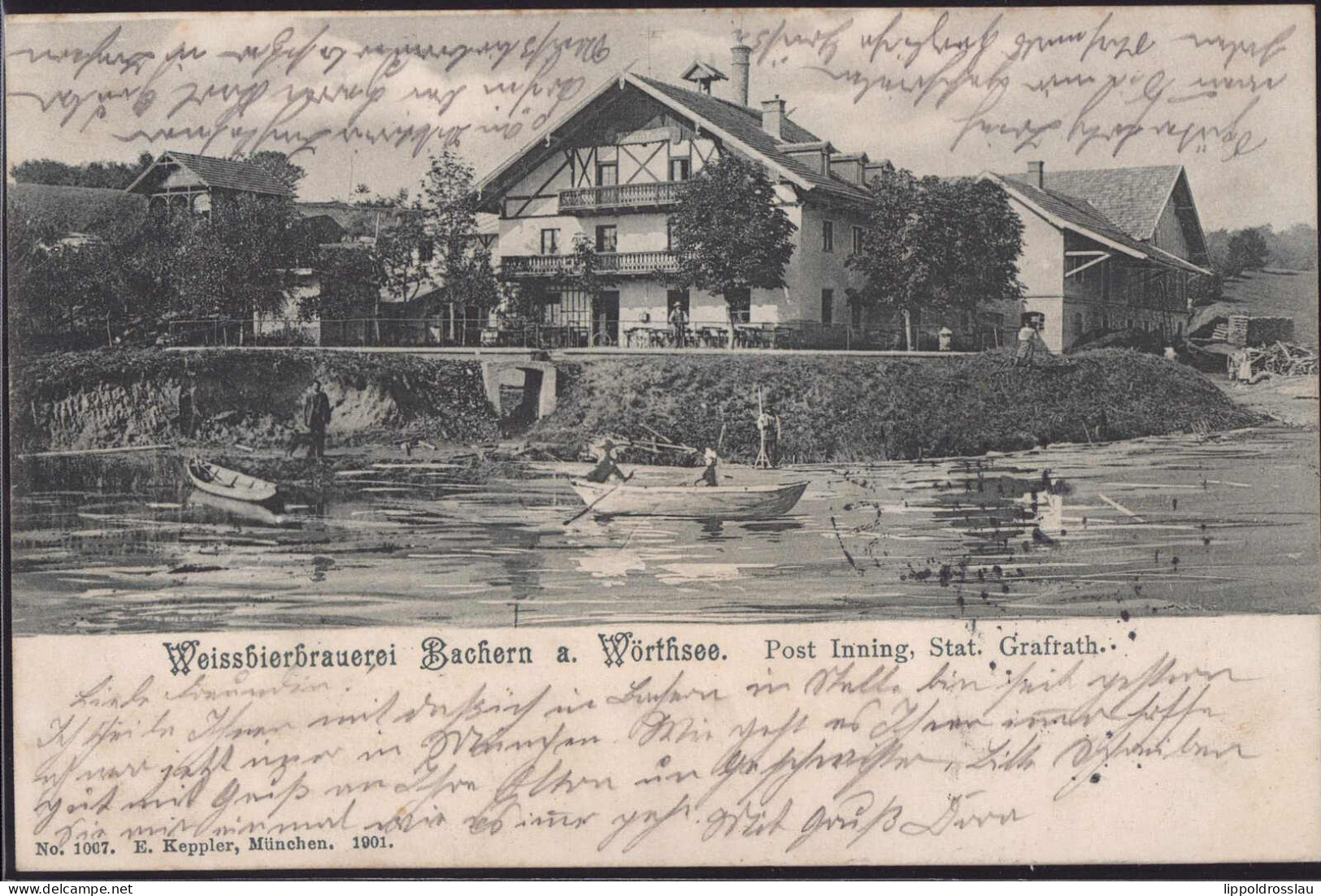 Gest. W-8084 Bachern Weißbierbrauerei Am Wörthsee 1901 - Fürstenfeldbruck