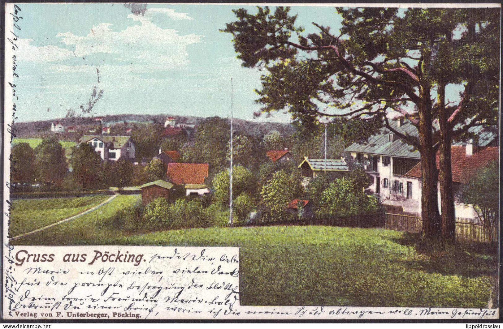 Gest. W-8134 Pöcking Teil Des Ortes 1902 - Starnberg