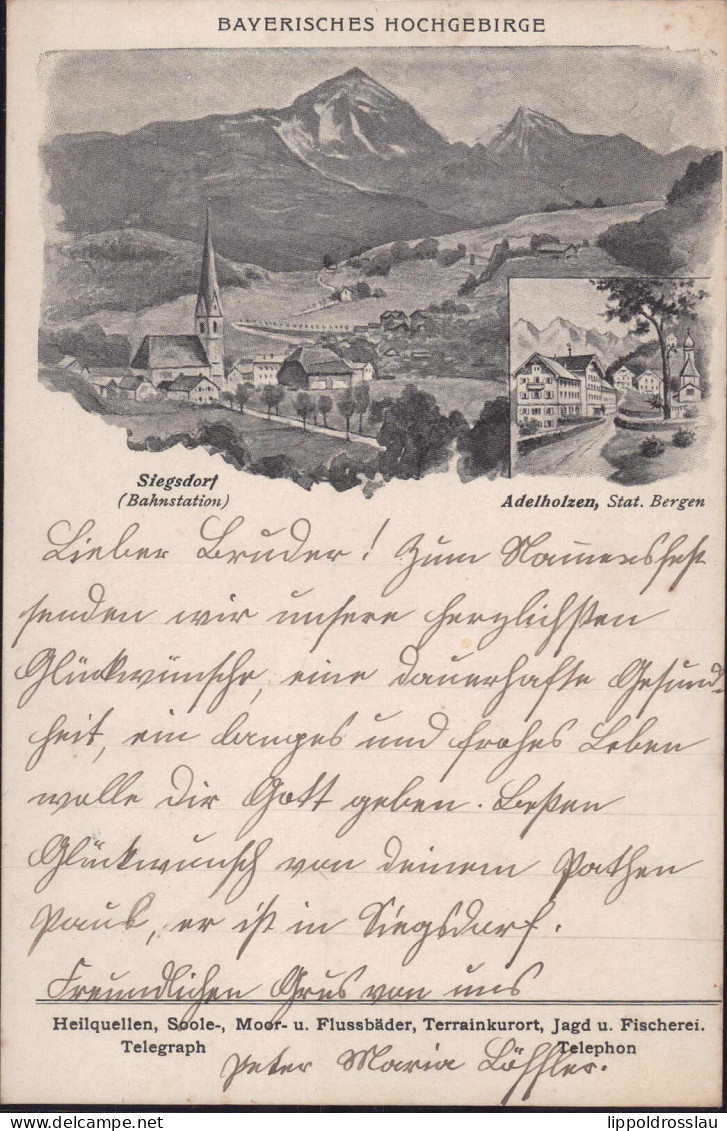 Gest. W-8227 Adelholzen Siegsdorf 1901 - Traunstein
