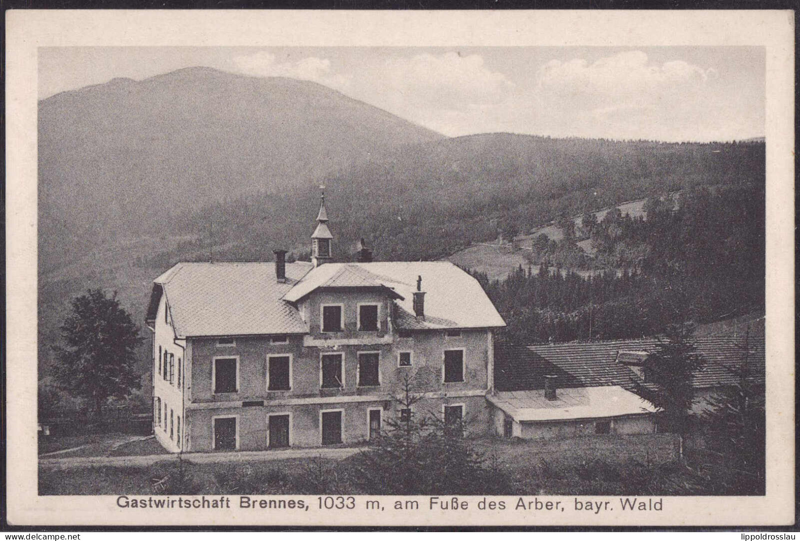 * W-8371 Brennes Gasthaus - Regen