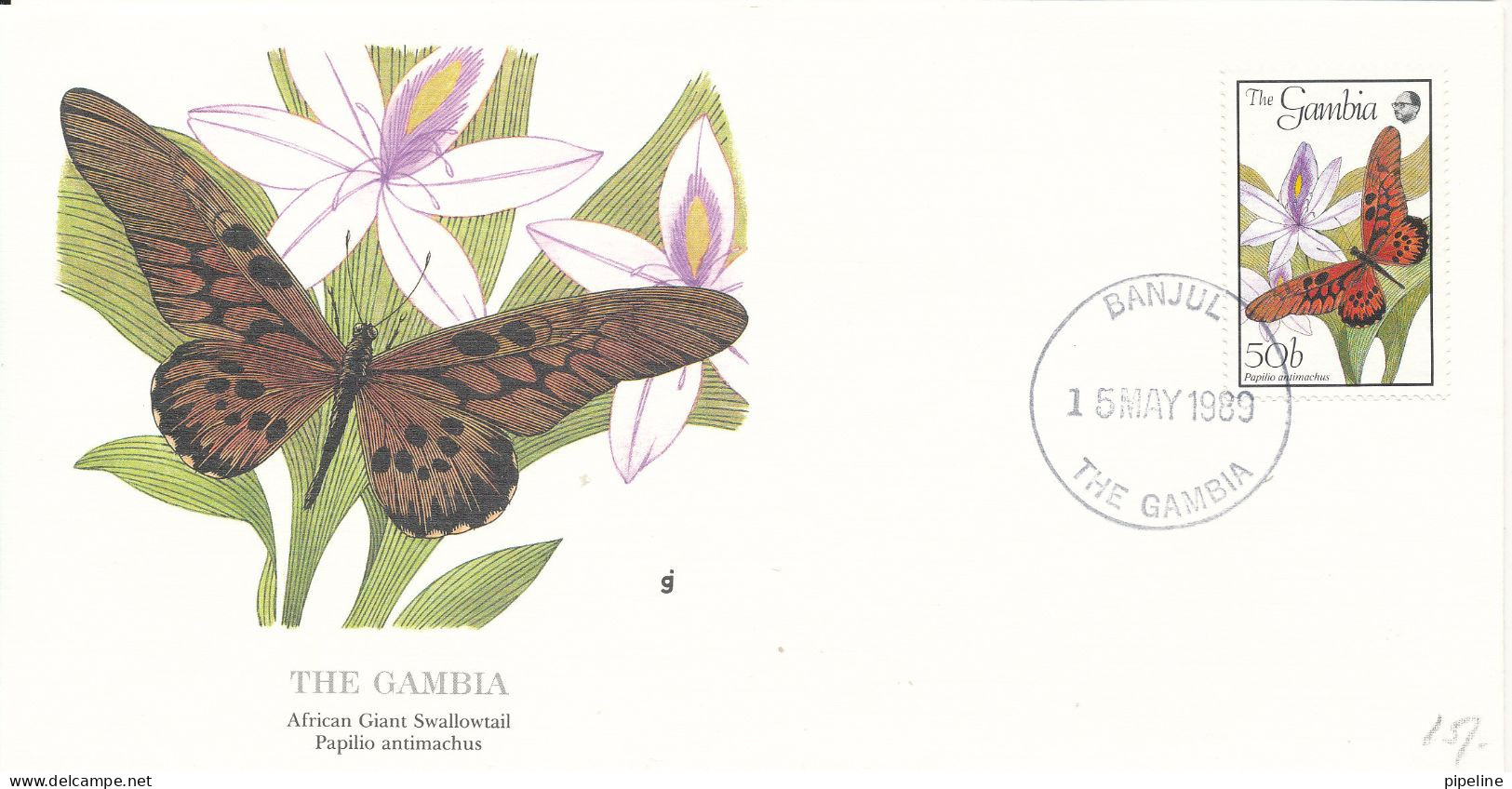 Gambia FDC 15-5-1989  BUTTERFLY With Cachet - Gambie (1965-...)