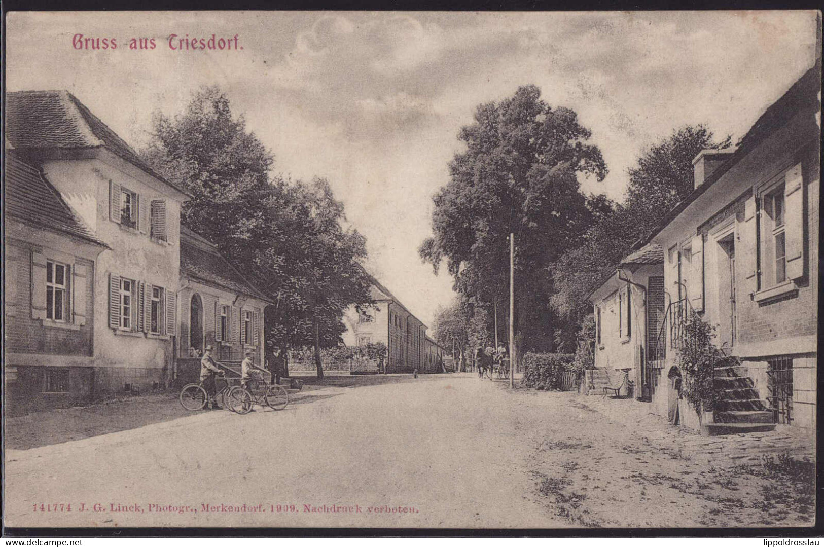 Gest. W-8825 Triesdorf Straßenpartie 1903 - Gunzenhausen