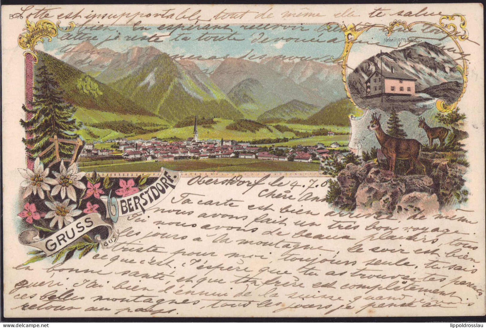 Gest. W-8990 Oberstdorf Blick Zum Ort 1902 - Oberstdorf