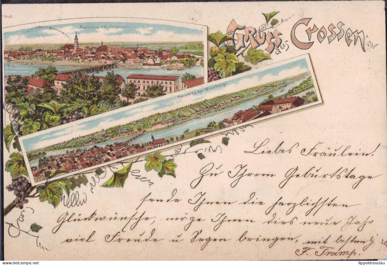 Gest. Crossen Blick Zum Ort Ostbrandenburg 1897 - Westpreussen