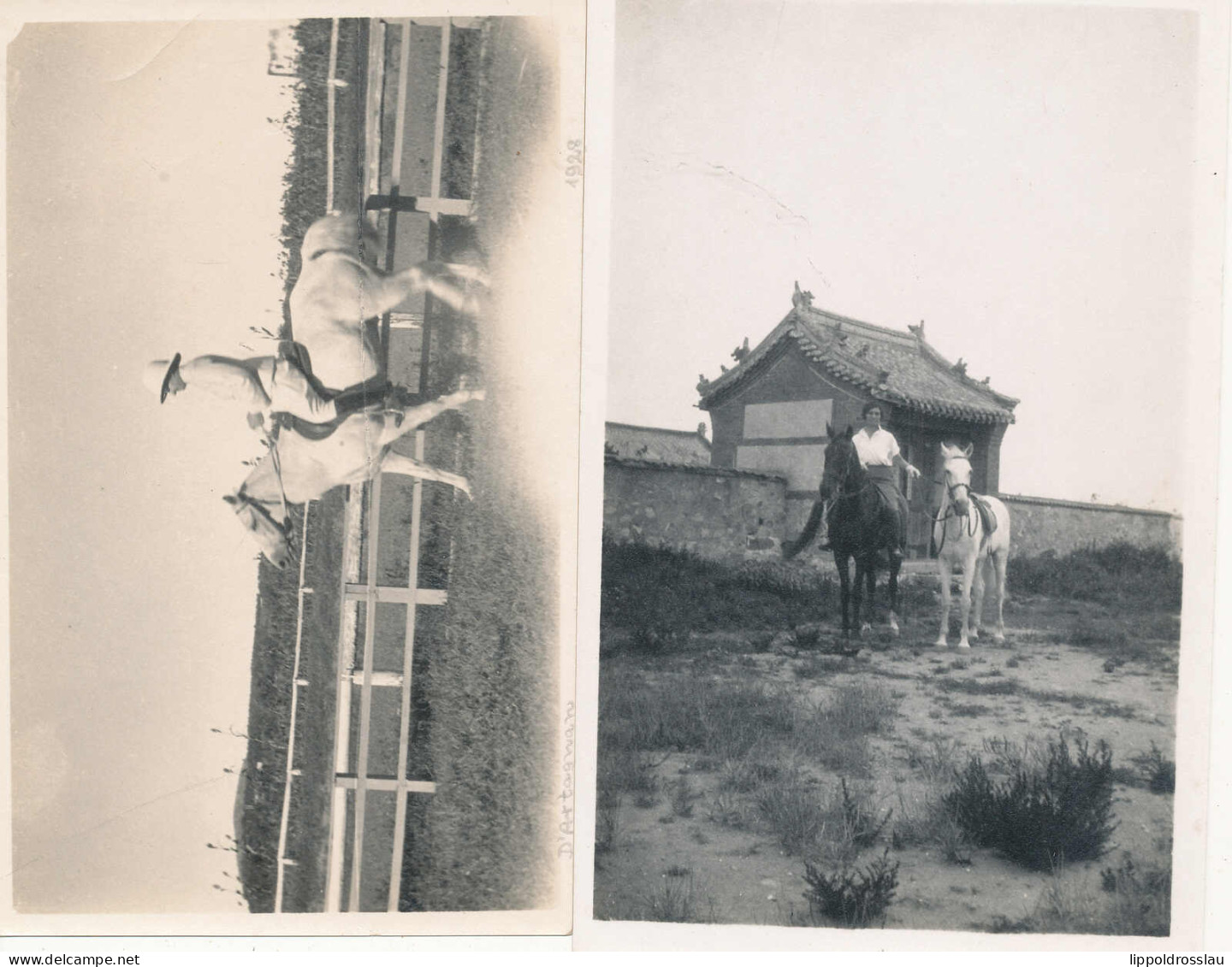 * 41 Stck. Fotos Besuch In Tientsin 1938, Viele Fotos Bei Der Arbeit Mit Pferden, Gehaltvoller Posten! - Non Classés