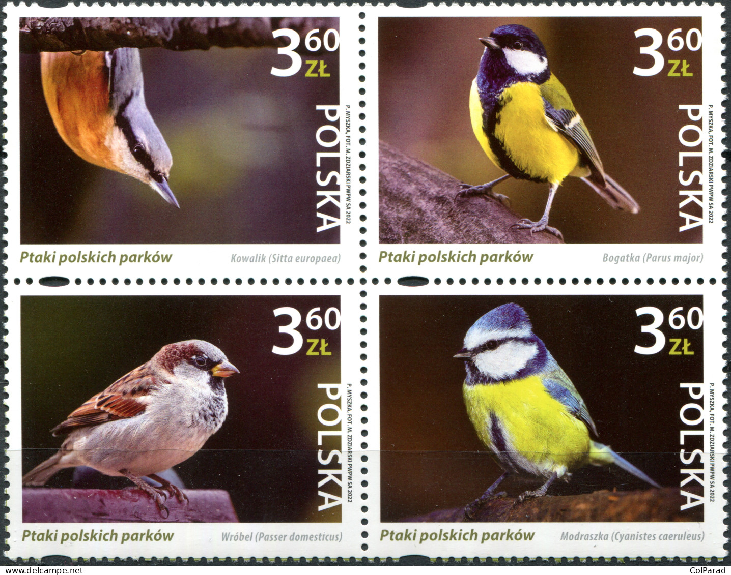 POLAND - 2022 - BLOCK OF 4 STAMPS MNH ** - Birds Of Polish Parks - Ongebruikt