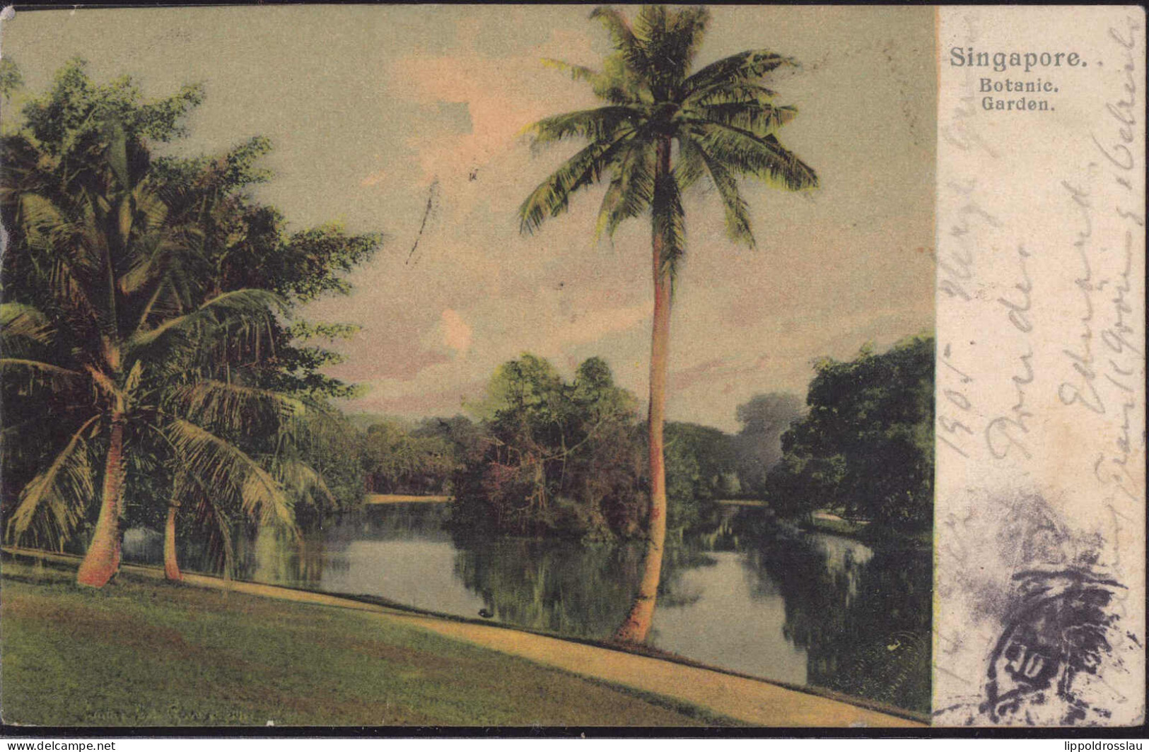 Gest. Singapur Botanischer Garten 1906 - Singapore