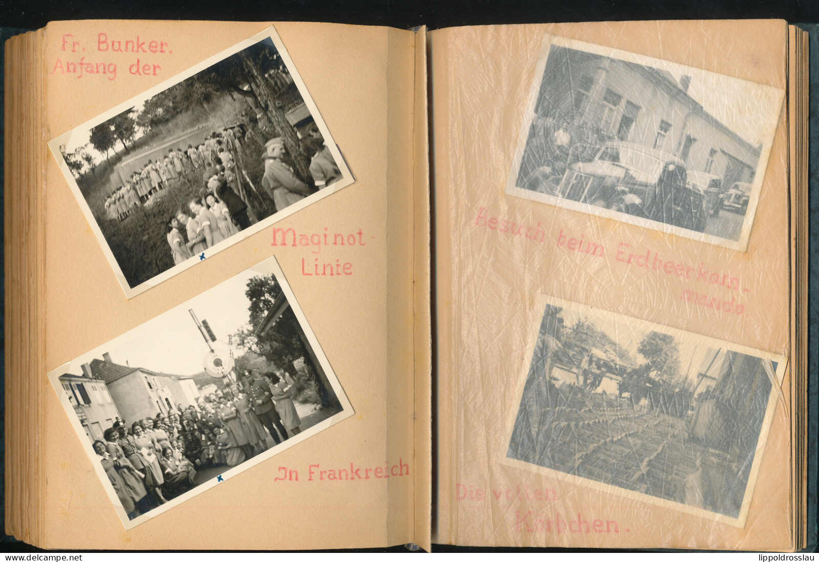 Fotoalbum RAD 1940 Lager 3/106 Hochscheid Und Erntelager Ayl. 90 Fotos, Akribisch Beschriftet, Angefügt Namen Der Belegs - Non Classificati