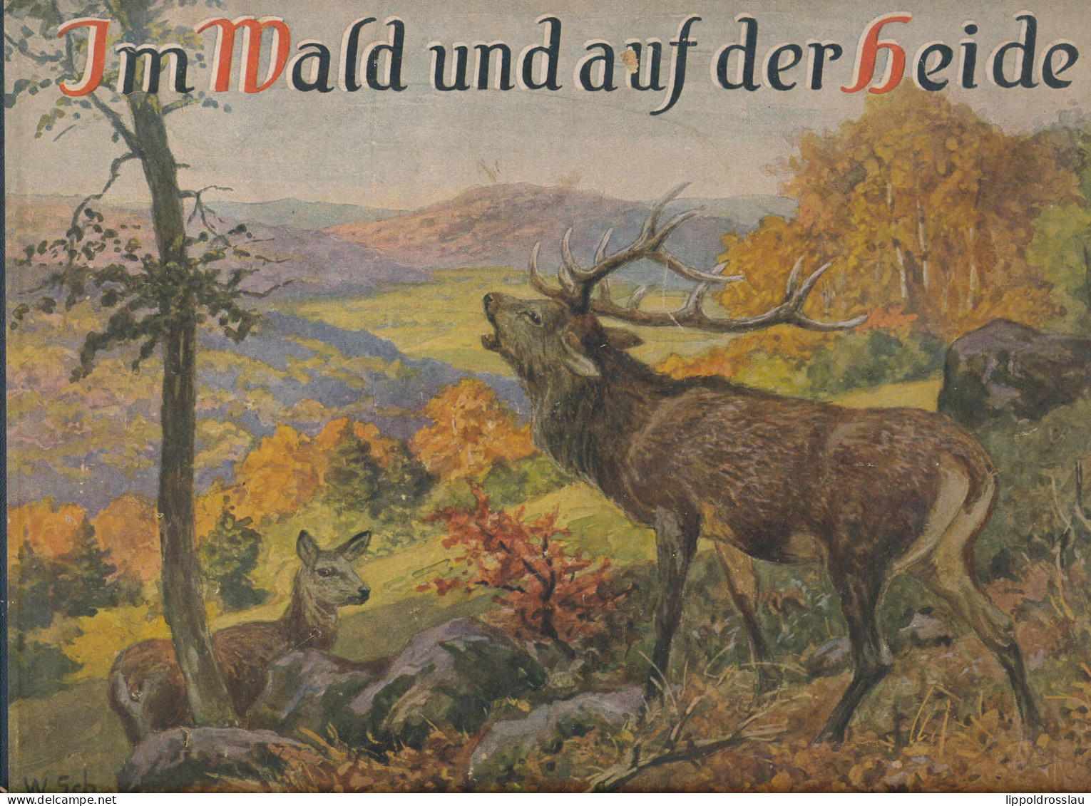 Im Wald Und Auf Der Heide, Harpapp-Kinderbuch 12 Seiten Mit Bildern Von W. Schacht, Ecken Best. - Autres & Non Classés