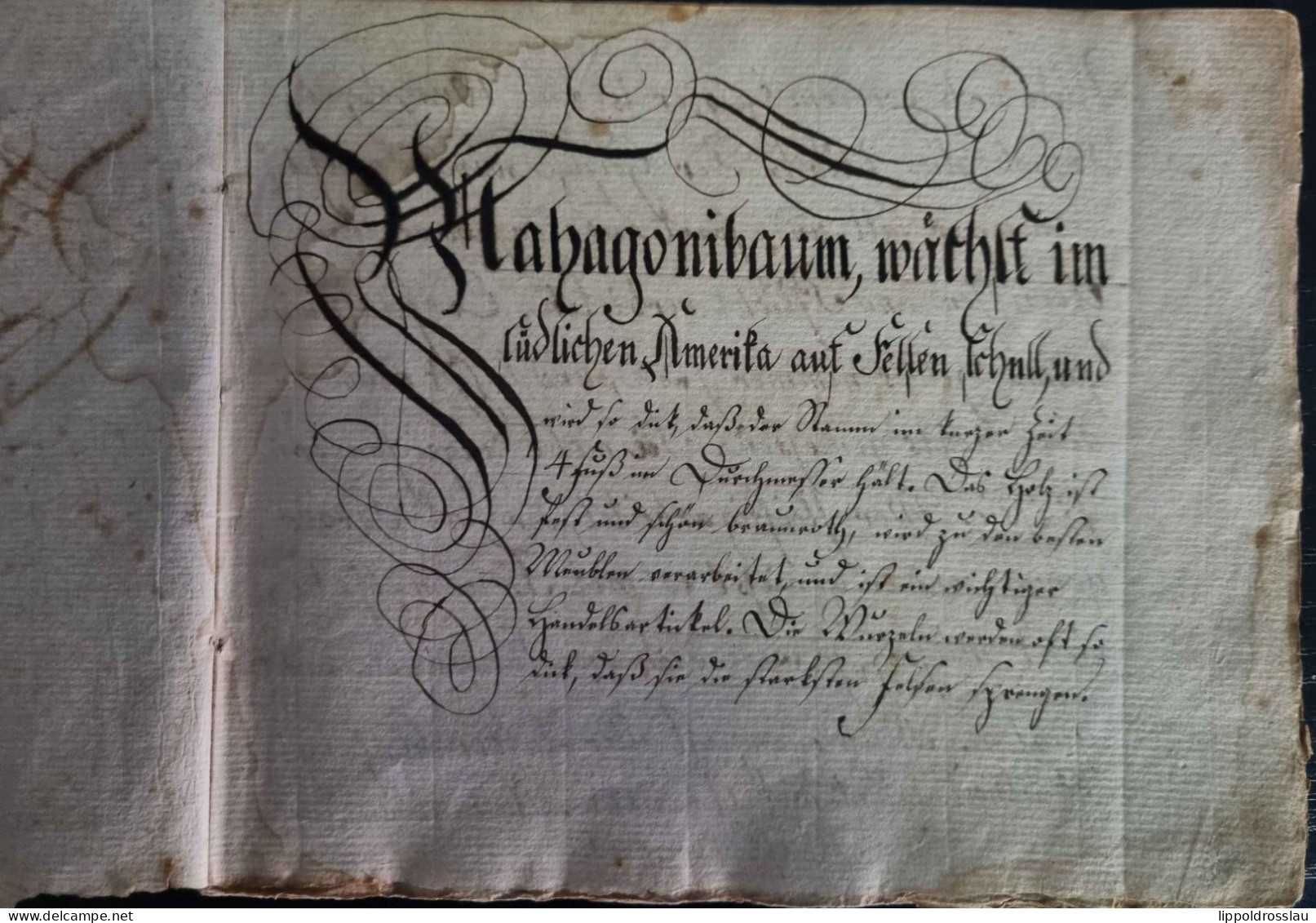 Schreibe-Buch Der Sonntagsschule Für Sonntag 12. Februar 1837, Bütten Handgeschrieben Auf 44 Seiten, Hoch Interessanter - Altri & Non Classificati