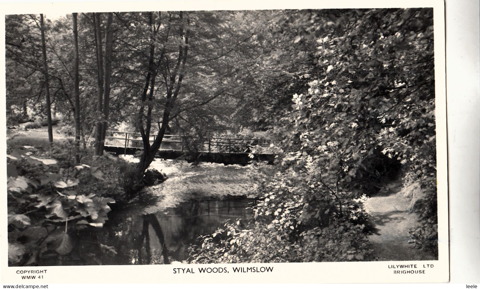 CK30. Vintage Postcard. Styal Woods, Wilmslow, Cheshire. - Other & Unclassified