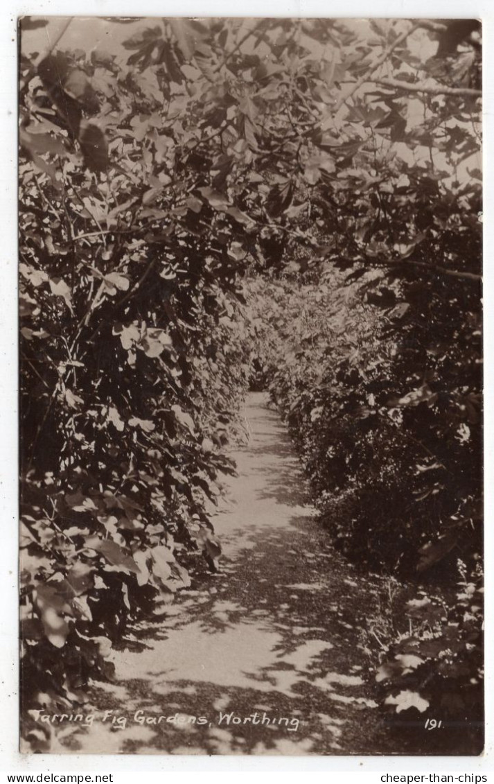 TARRING - The Fig Gardens - Wells Series 191 - Worthing