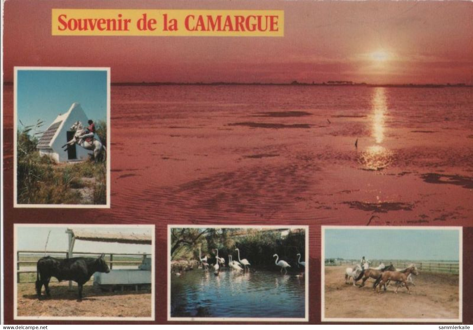 98787 - Frankreich - Camargue - 1989 - Otros