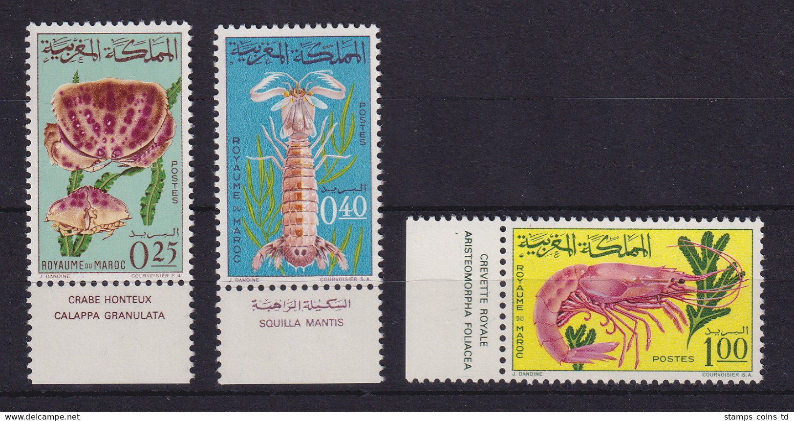 Marokko 1965 Meerestiere Mi-Nr. 553-555 Unterrandstücke Postfrisch ** - Morocco (1956-...)