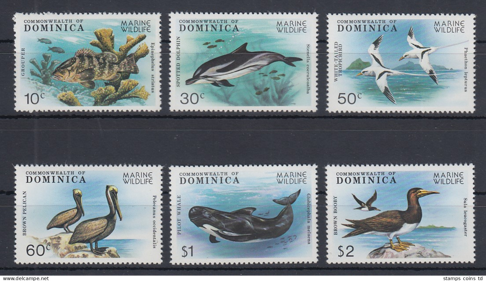 Dominica 1979 Meeresfauna Mi.-Nr. 630-35 Satz 6 Werte Kpl. ** - Dominique (1978-...)