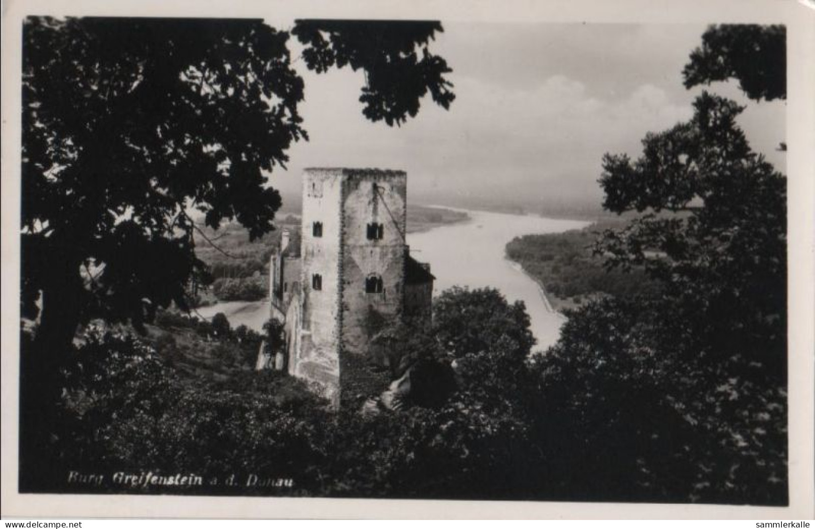 46331 - Österreich - St. Andrä-Wördern, Burg Greifenstein - Ca. 1950 - Tulln