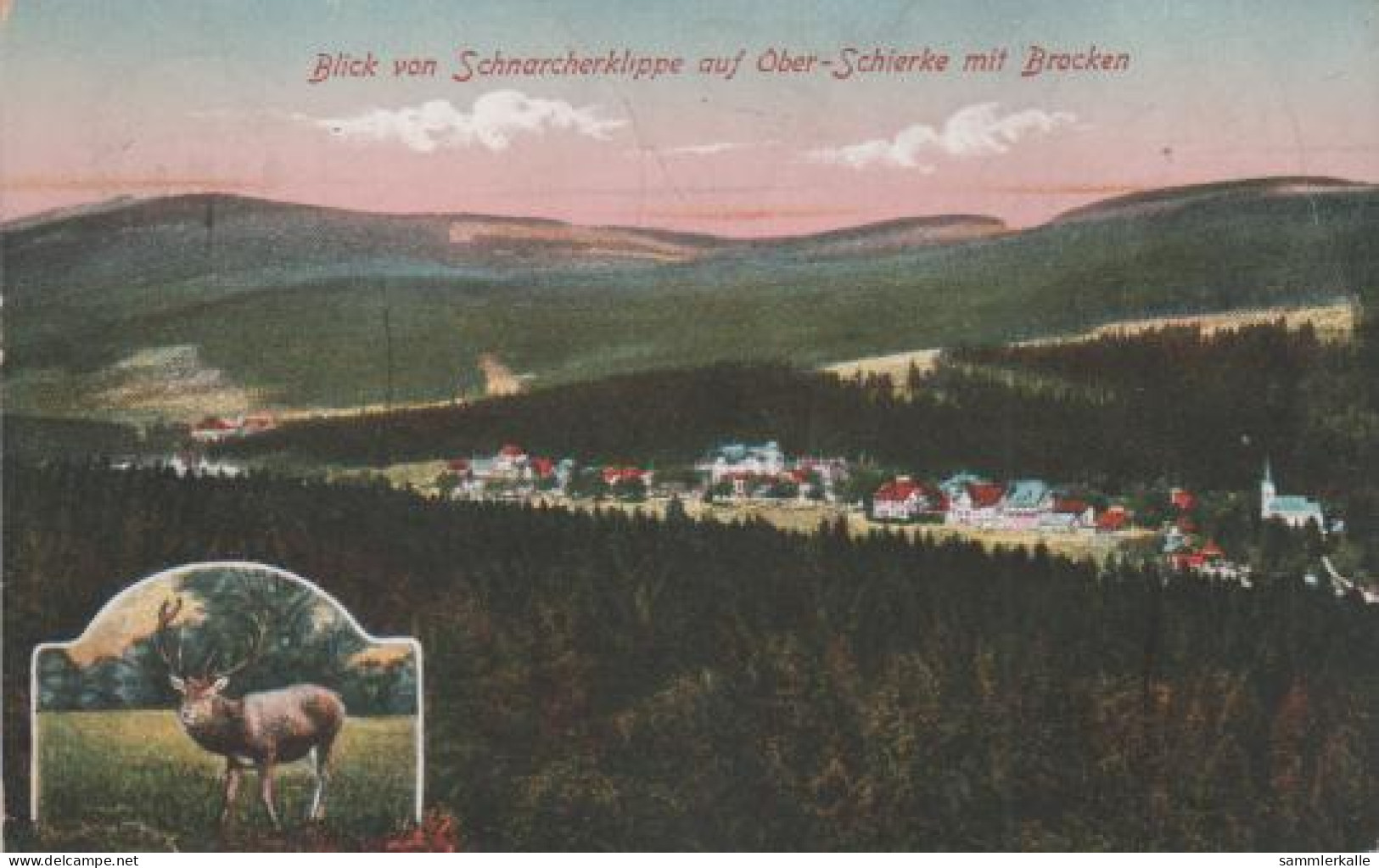 7189 - Ober-Schierke - Blick V. Scharcherklippe - Ca. 1925 - Schierke