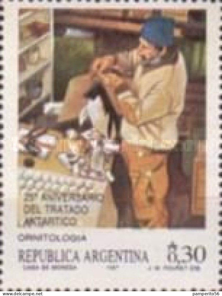 ARGENTINA - AÑO 1987 - 25º Anivertsario Del Tratado Antártico - Usados - Gebraucht