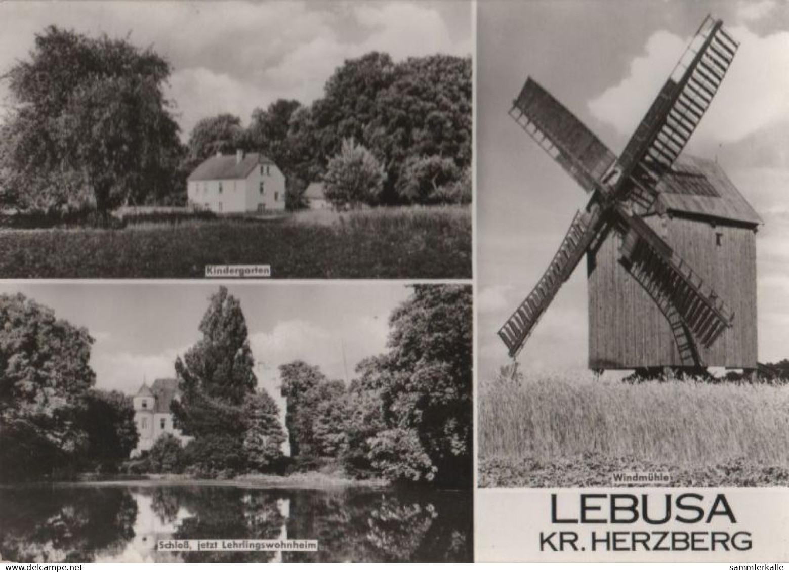 52033 - Lebusa - U.a. Schloss - 1981 - Schlieben