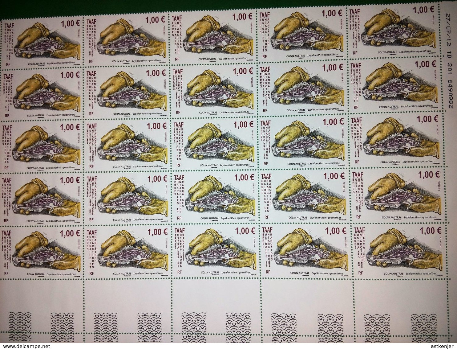 TERRES AUSTRALES ET ANTARCTIQUES FRANCAISES (TAAF) - Planche De 25 Timbres De 2013 N° 641 : Colin Austral - Otros & Sin Clasificación