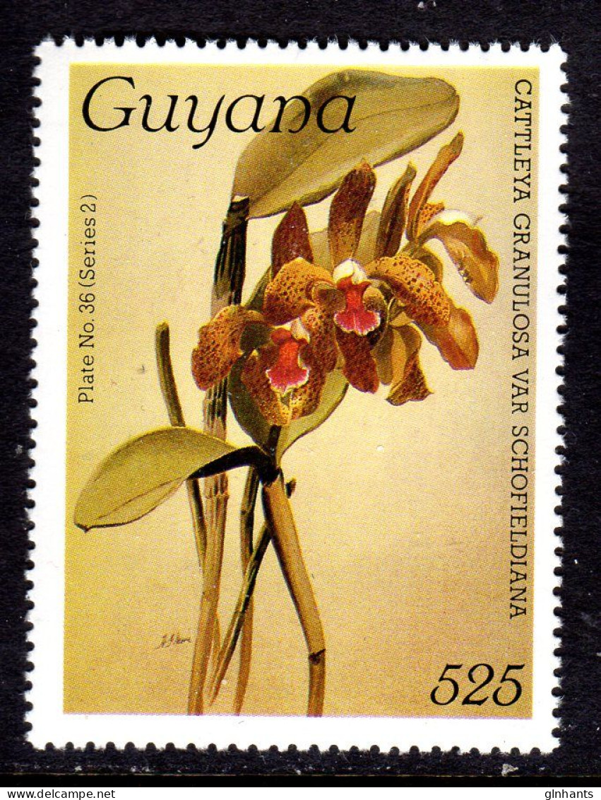 GUYANA - 1988 REICHENBACHIA ORCHIDS 29th ISSUE PLATE 36 SERIES 2 FINE MNH ** SG 2316 - Guyane (1966-...)